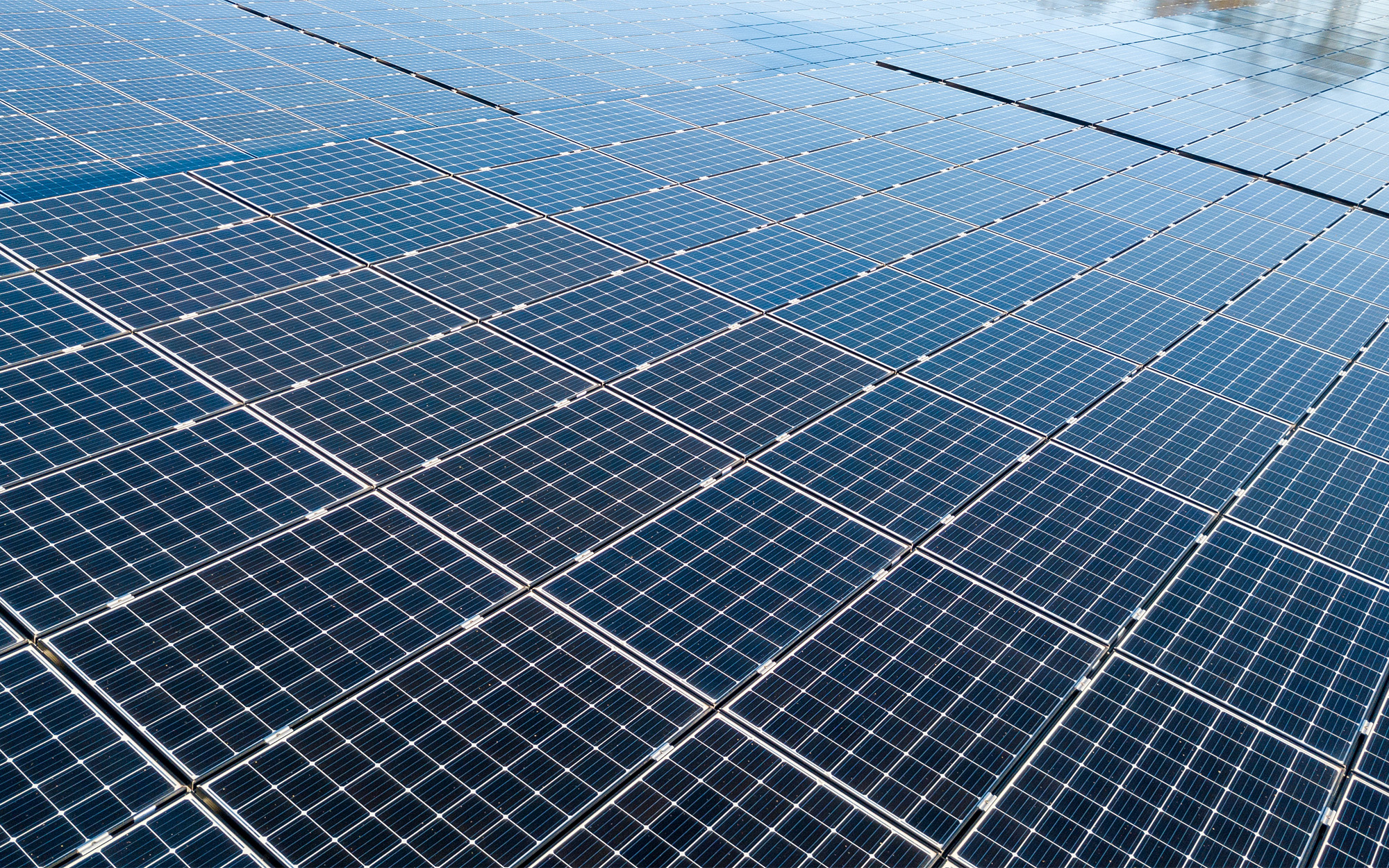 How to Calculate Potential Solar Panel ROI for Your Business